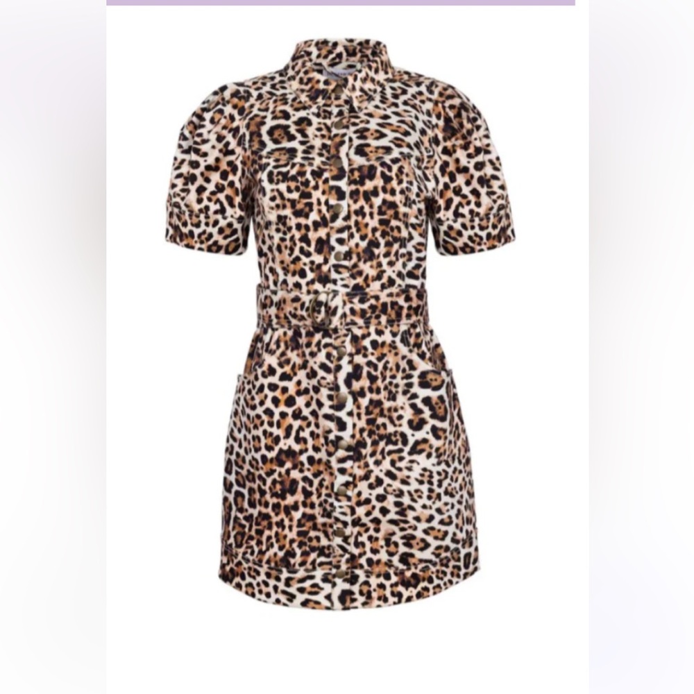 Hunter Bell Robinson dress in leopard. Like new, worn once